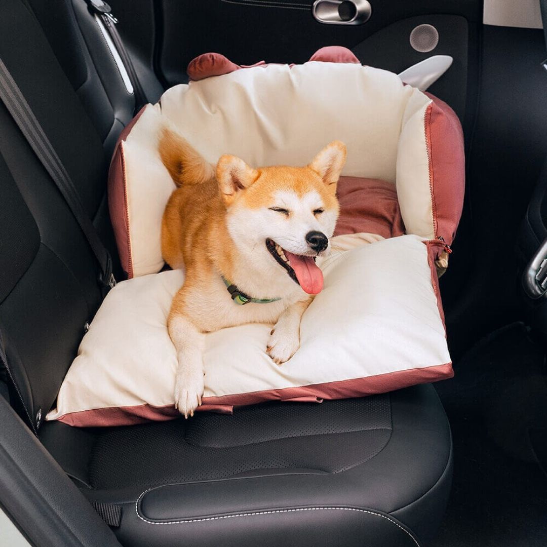 Hund Autositz | Hundesitz für die Rückbank | Hundetransportbox | Hundebox